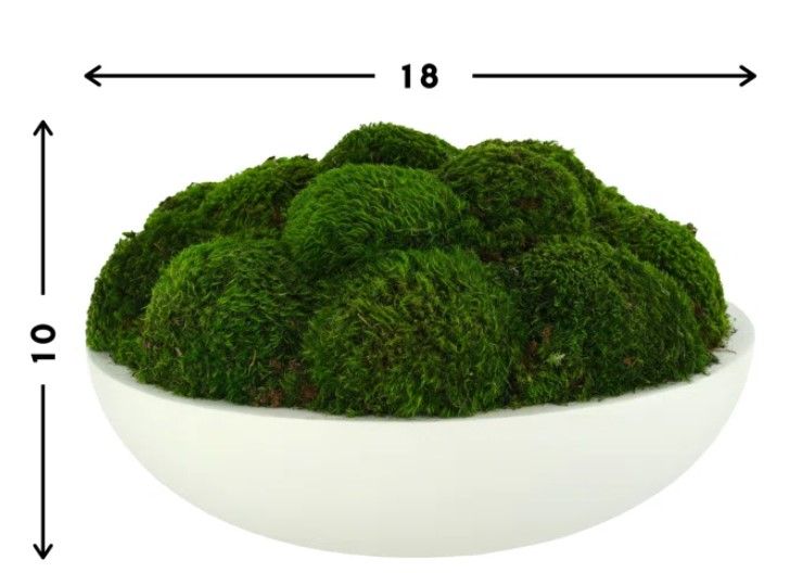 Preserved Moss Plant in Planter thumbnail 2