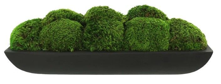 Preserved Moss Arrangement In Oblong Planter thumbnail 2