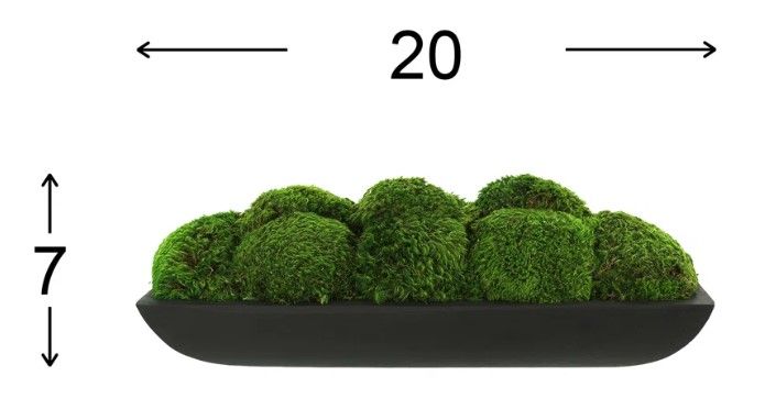 Preserved Moss Arrangement In Oblong Planter thumbnail 3
