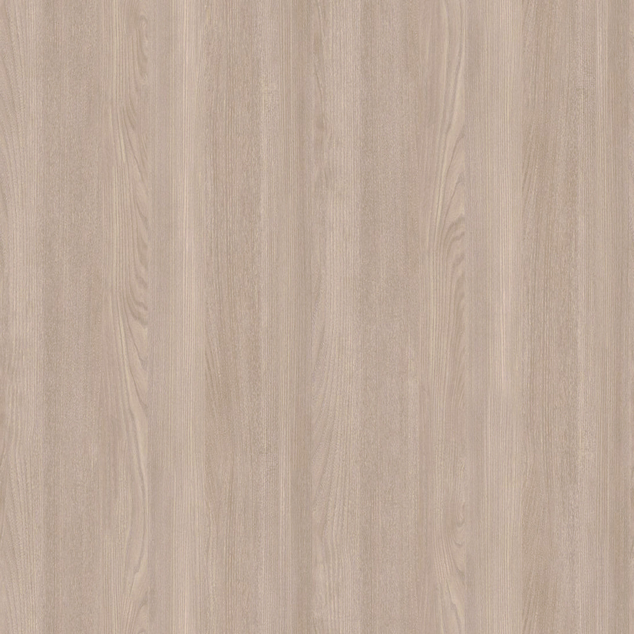 Lana Curved Back Dining Chair thumbnail 3