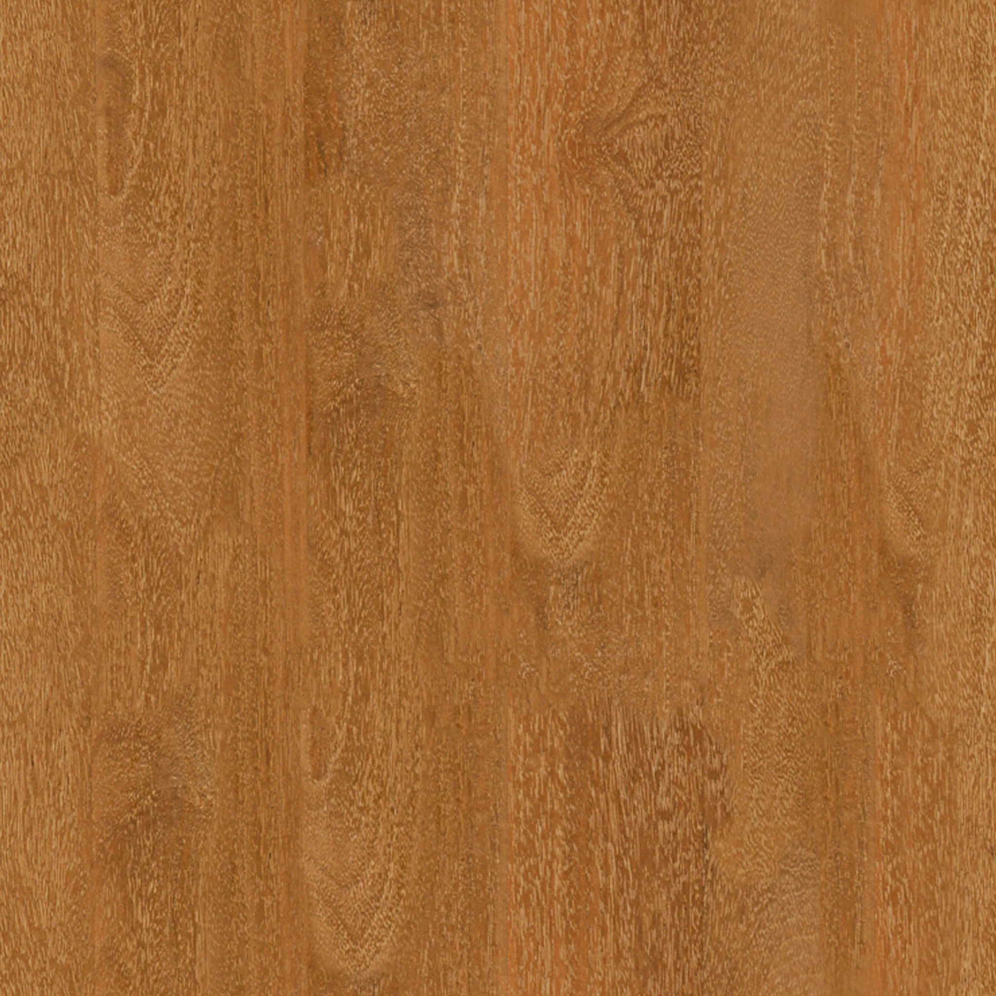 Cayman Dining Chair thumbnail 7
