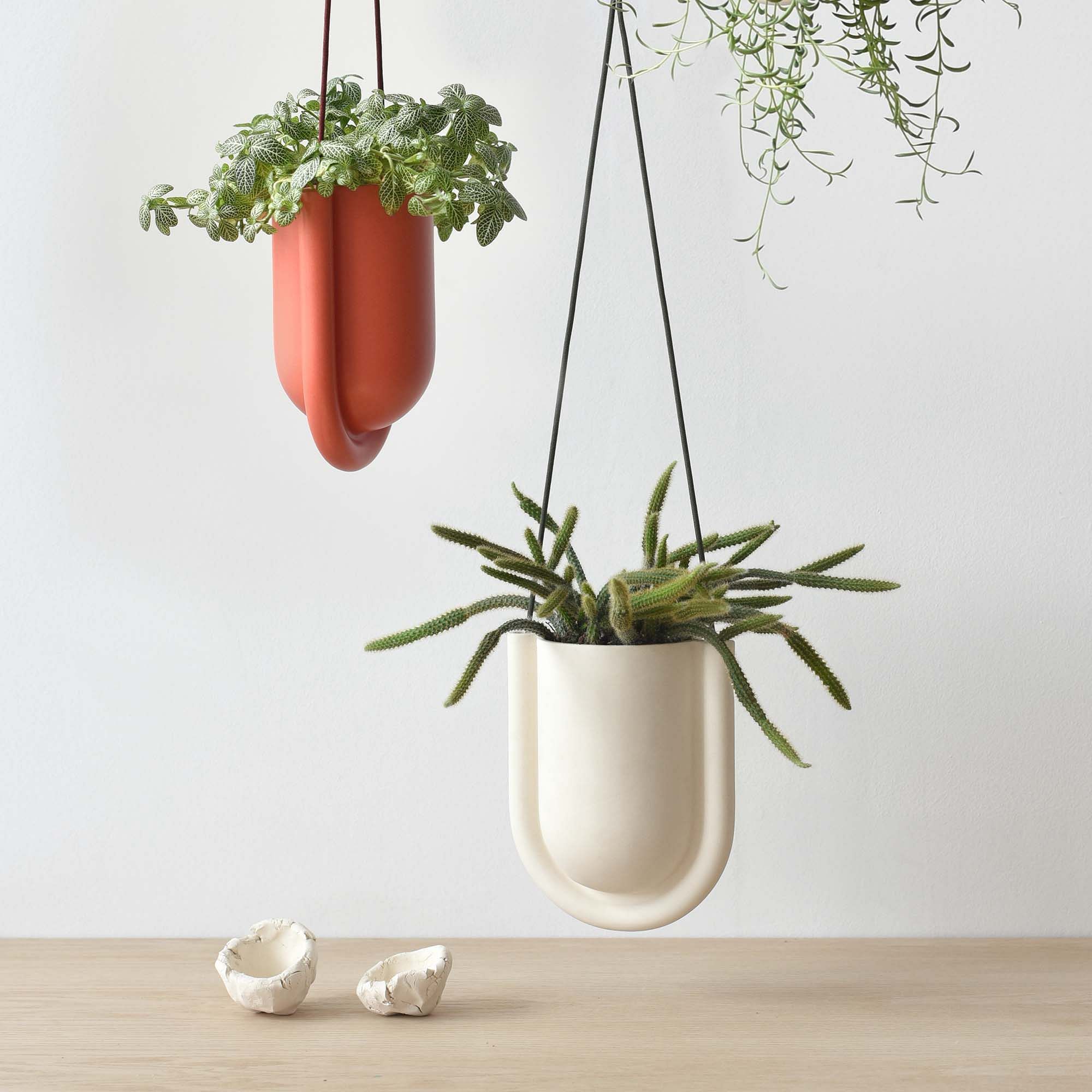Misewell Portico Hanging Planter thumbnail 2