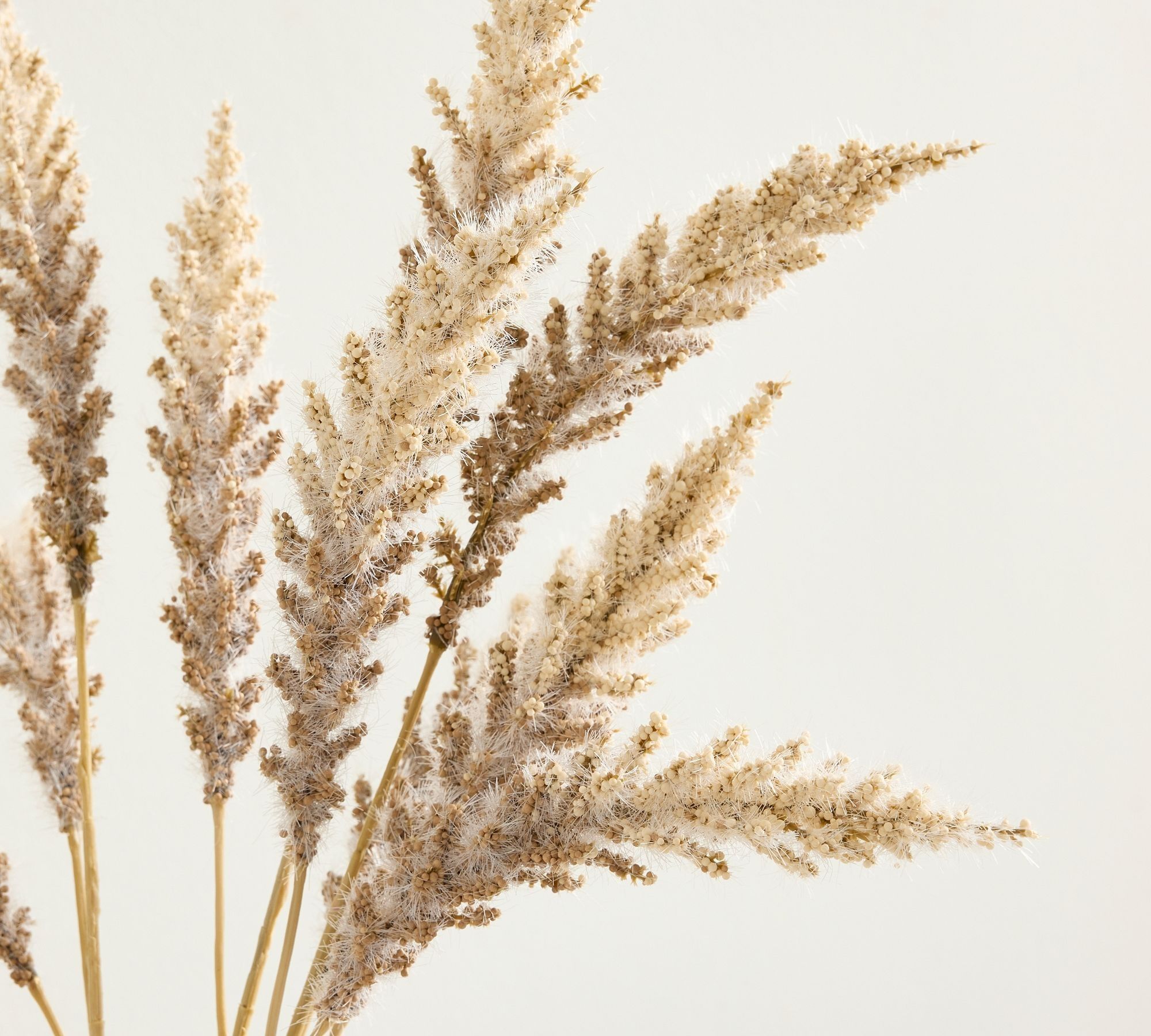 Faux Millet Bundle thumbnail 3