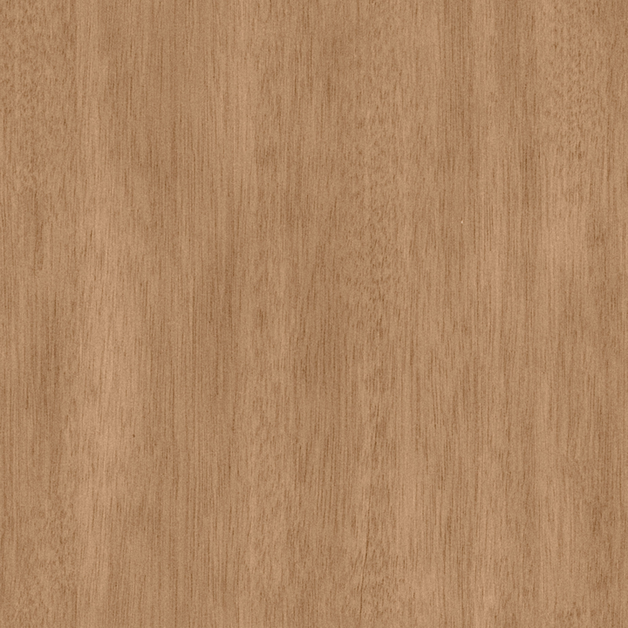 Forma Dining Table-Round thumbnail 2