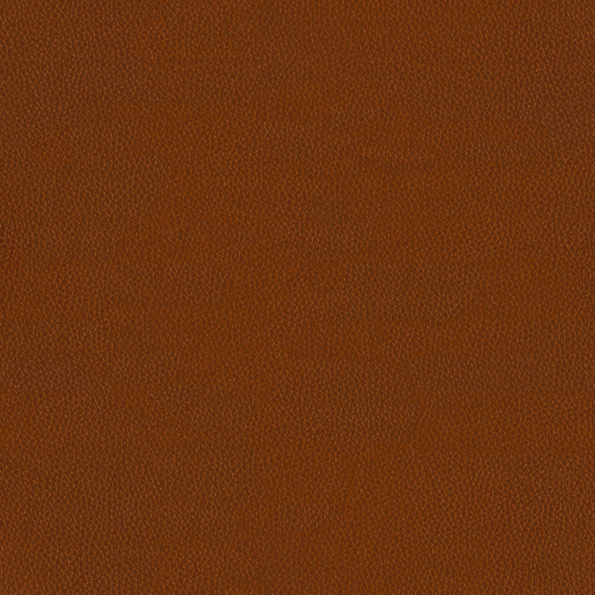 5 Seat Sofa_114 thumbnail 4