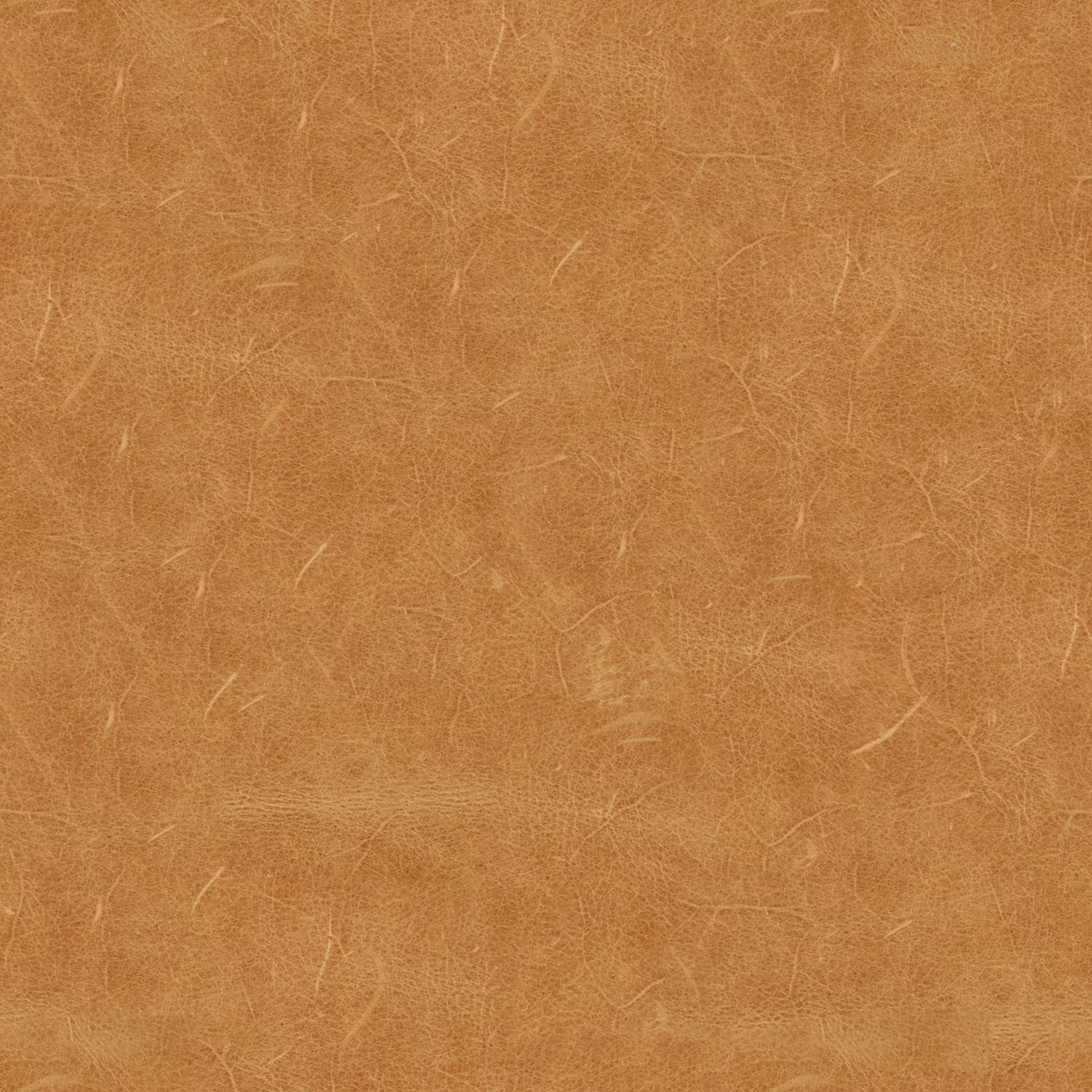 Serafin Leather Daybed thumbnail 6