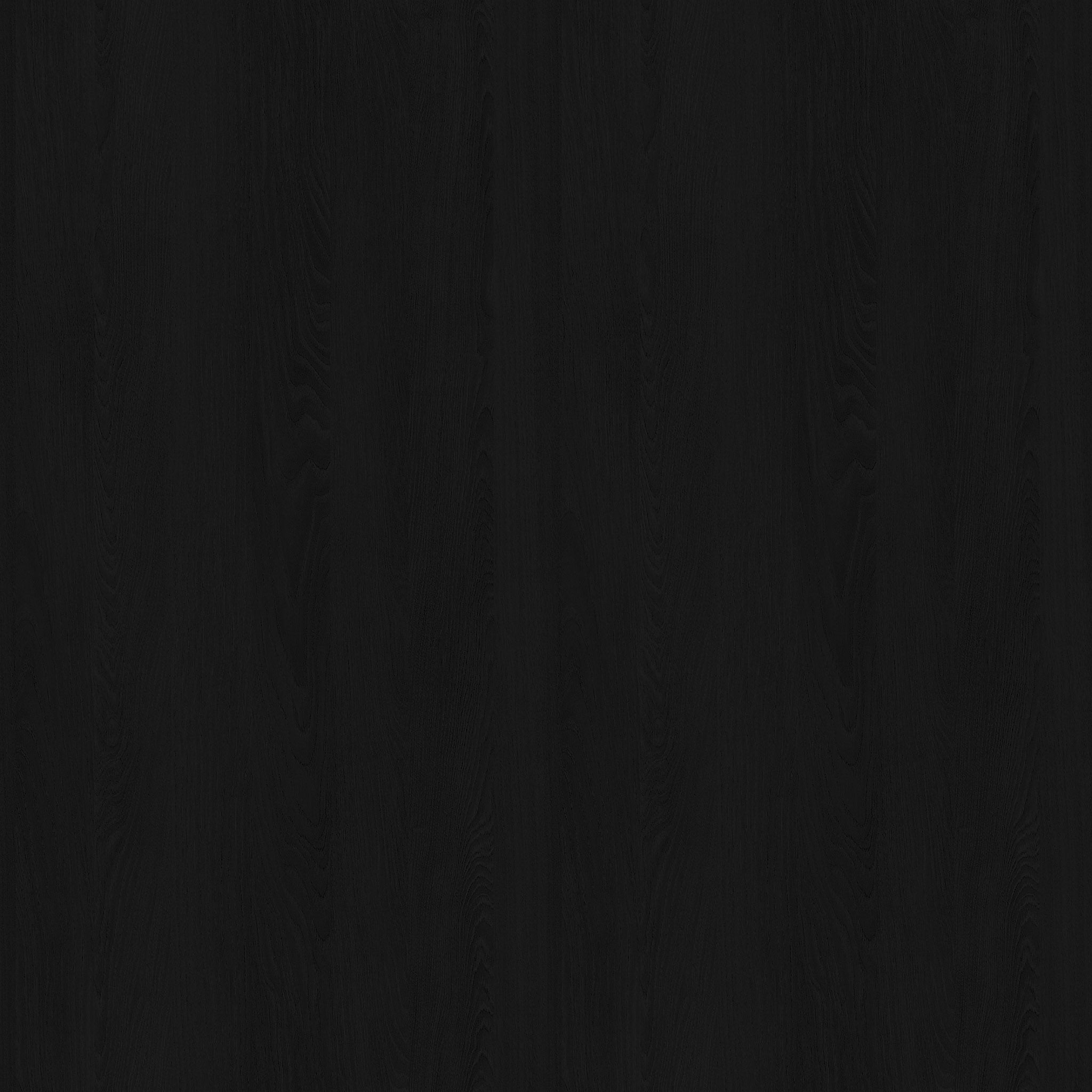 Mindi Panel and Glass Door Black Cabinet thumbnail 4
