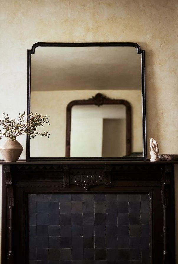 Aperture Mirror thumbnail 2