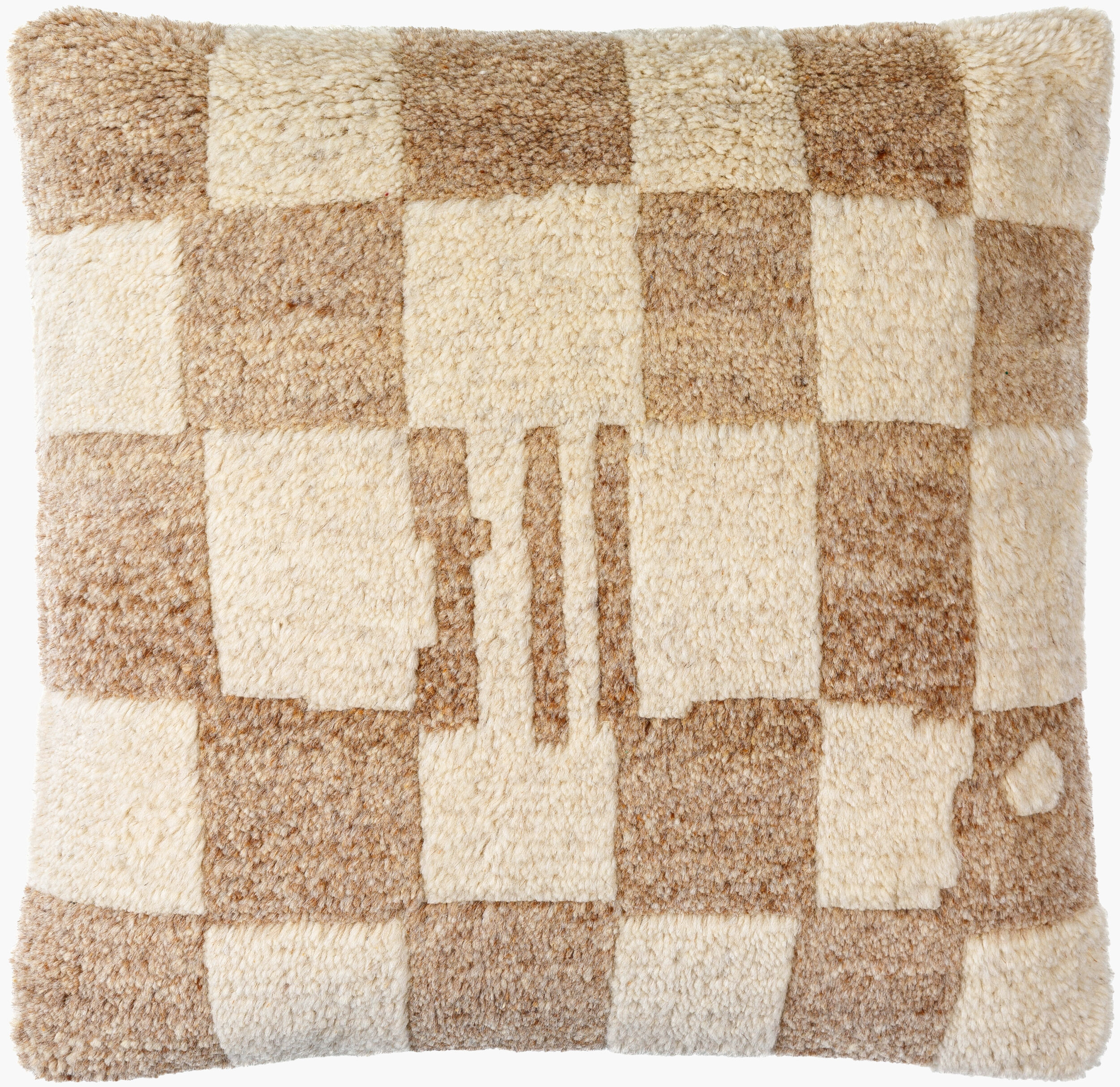 Aldin Pillow - 20 x 20"