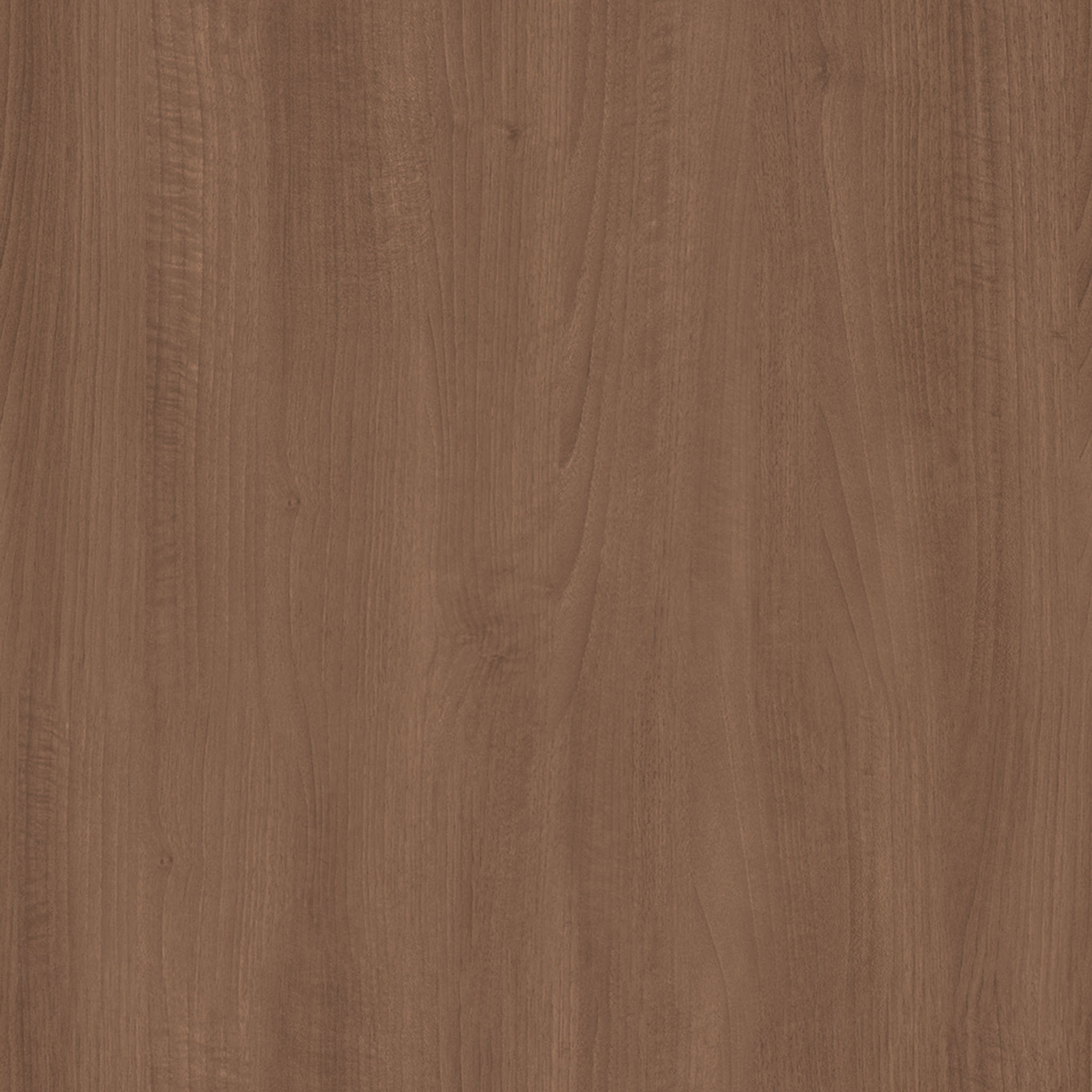Lispenard Sofa thumbnail 3