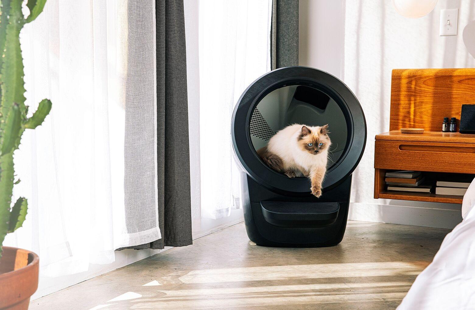 Litter Robot 4 thumbnail 2