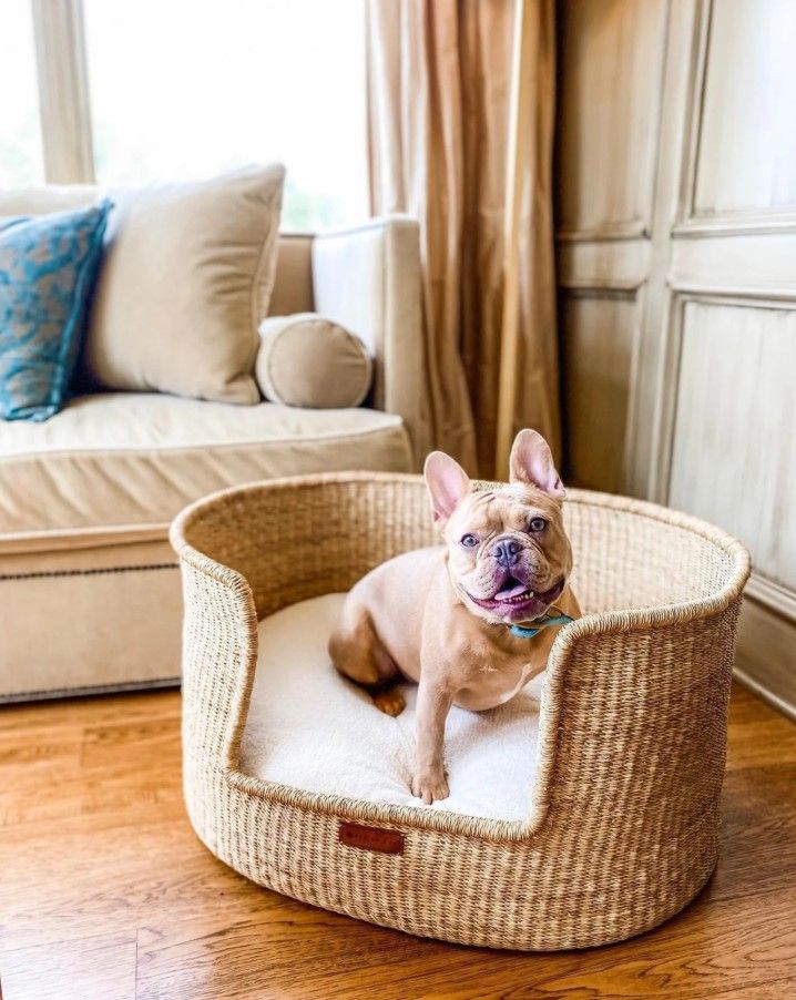 Design Dua Bear Dog Bed Natural thumbnail 2