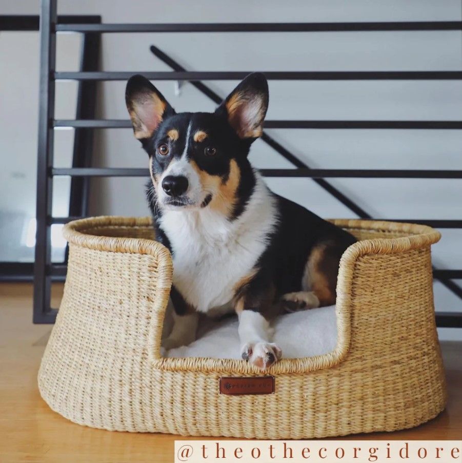 Design Dua Bear Dog Bed Natural thumbnail 3