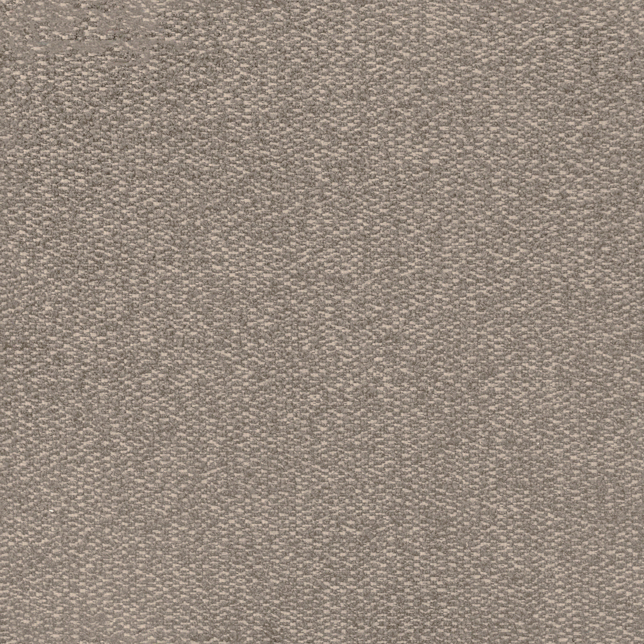 Bottoni Dining Chair thumbnail 2