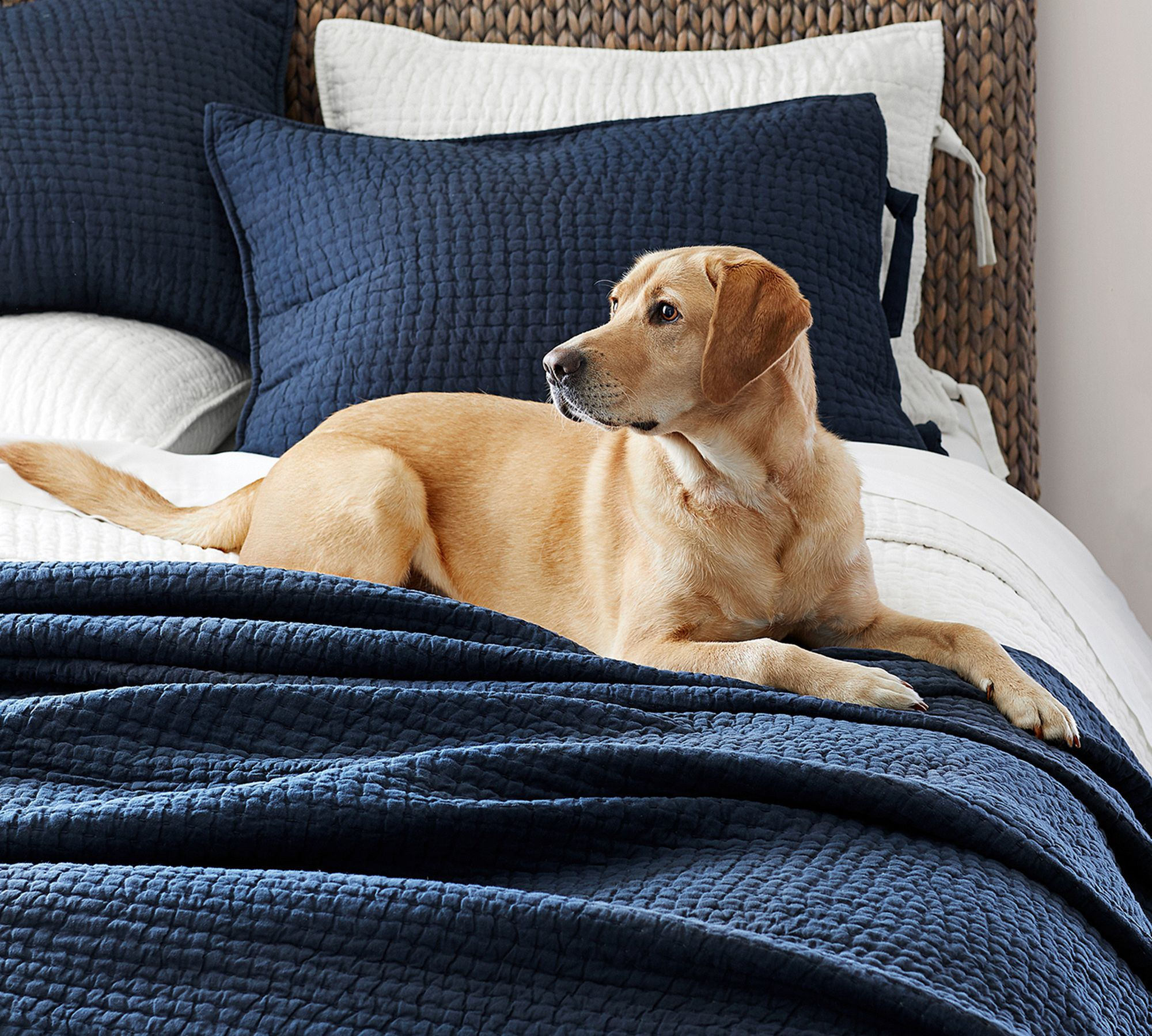 Pick Stitch Handcrafted Cotton Linen Quilt-King thumbnail 3