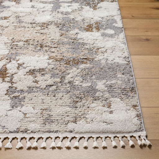 Rudy Regal Decor Machine Woven Rug 6'7" x 9' thumbnail 3