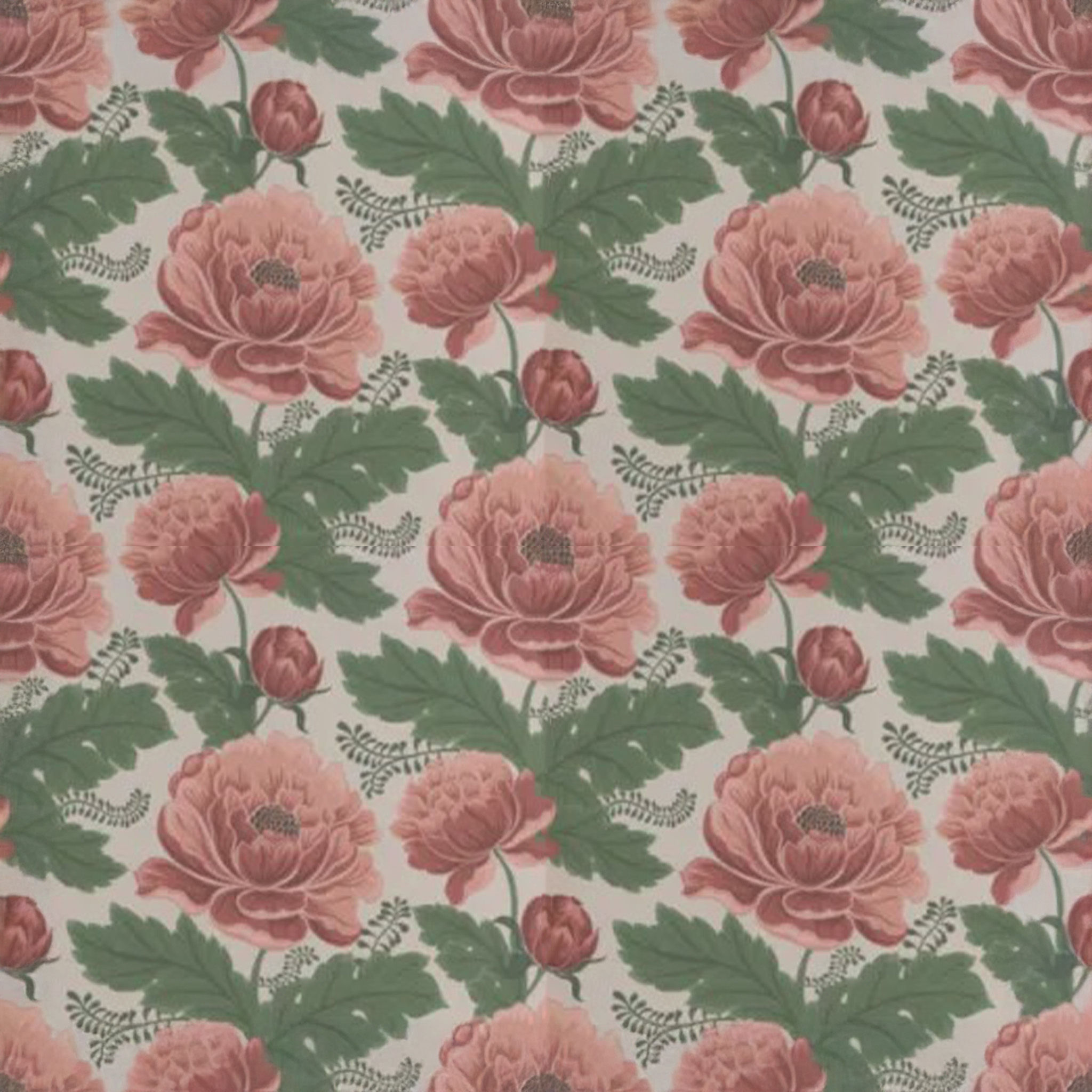 May Pink Wallpaper thumbnail 2