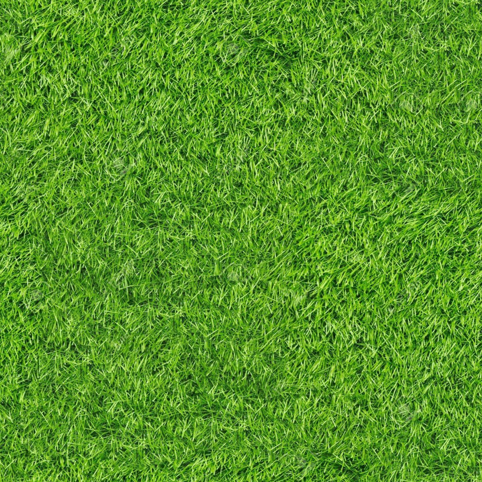 Artificial Grass Turf Rugs and Rolls-2'x8' thumbnail 4