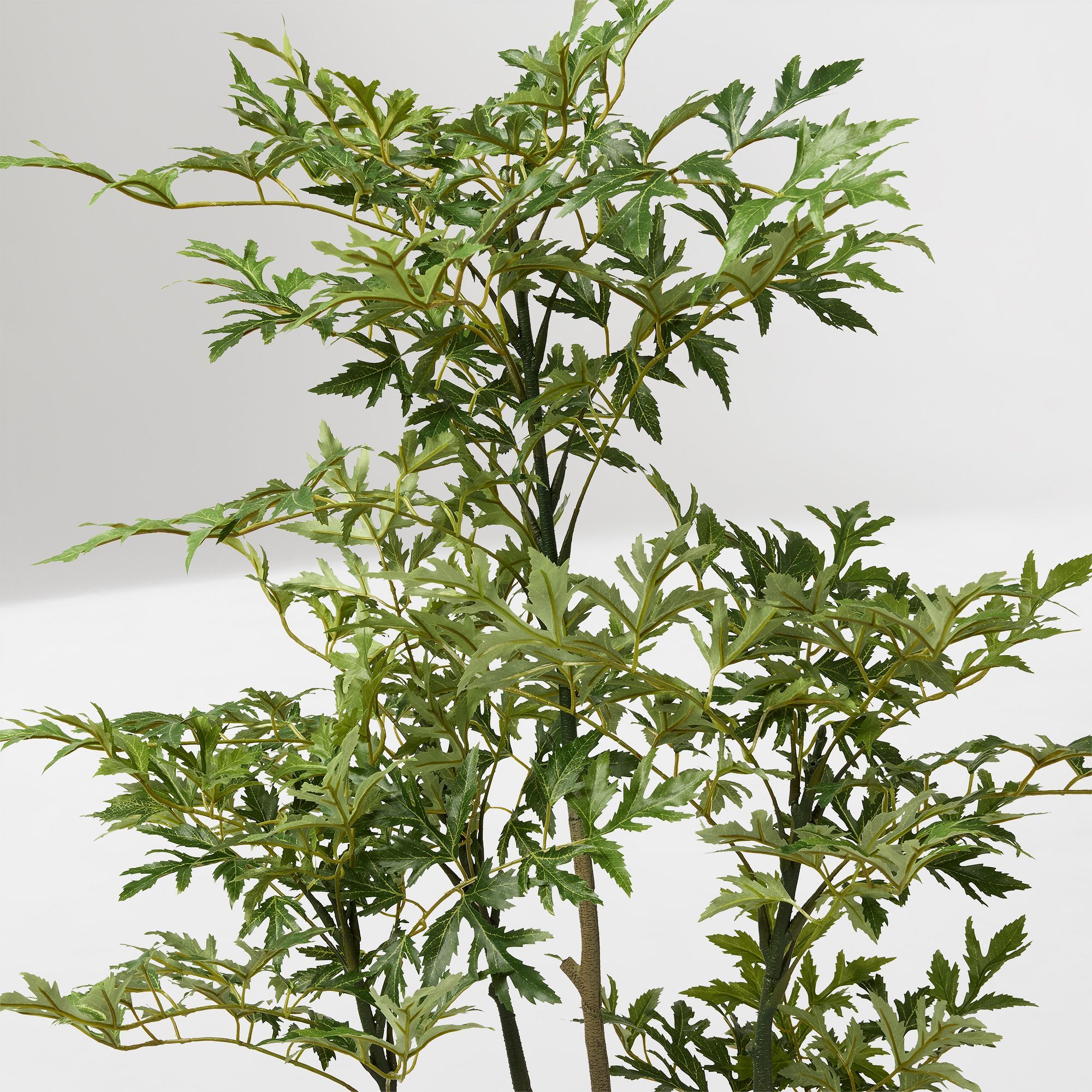 Faux Potted Phoenix Tree thumbnail 2