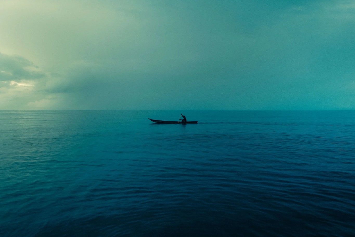 Homeward Bound thumbnail 2