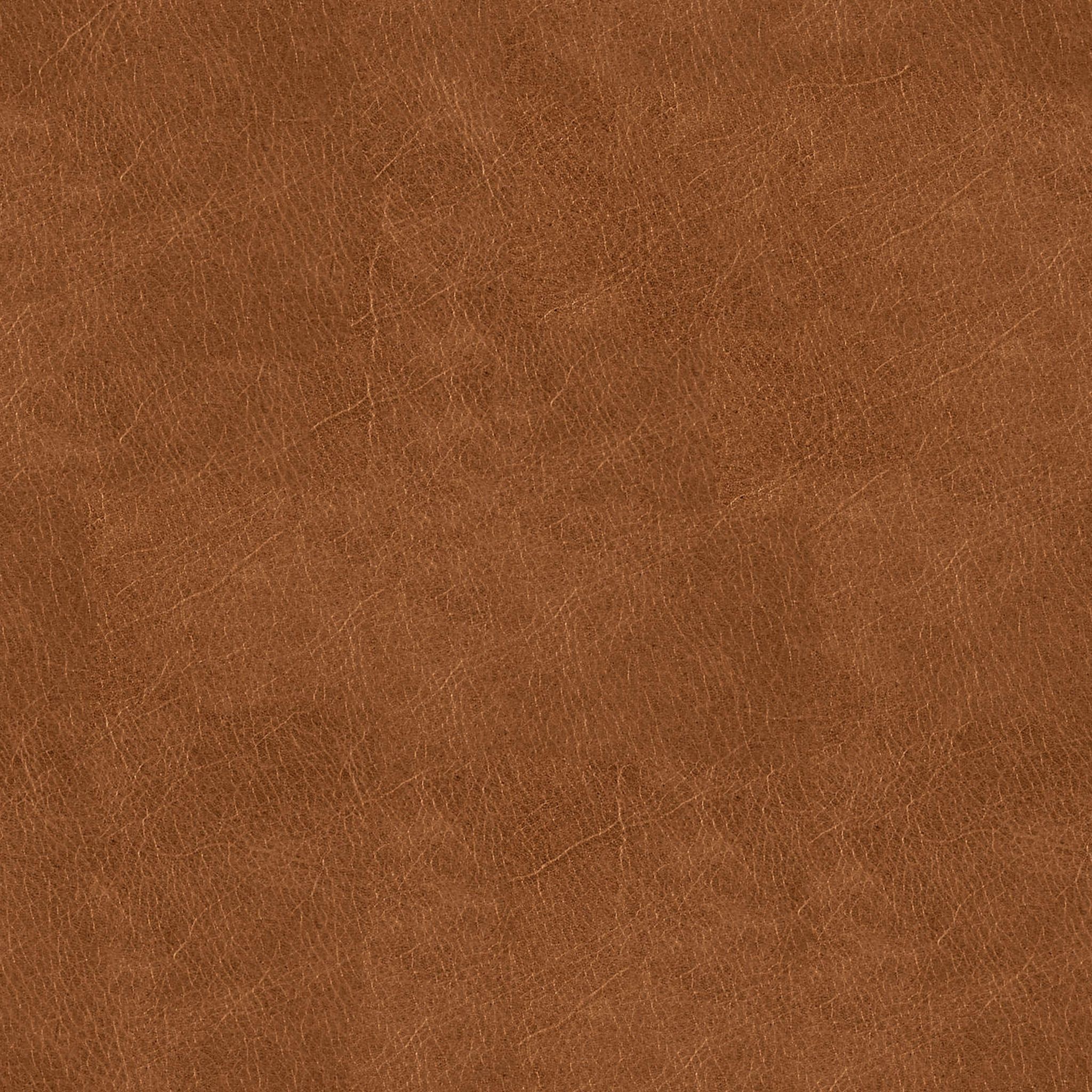 Clarendon Saddle Leather Accent Chair thumbnail 10