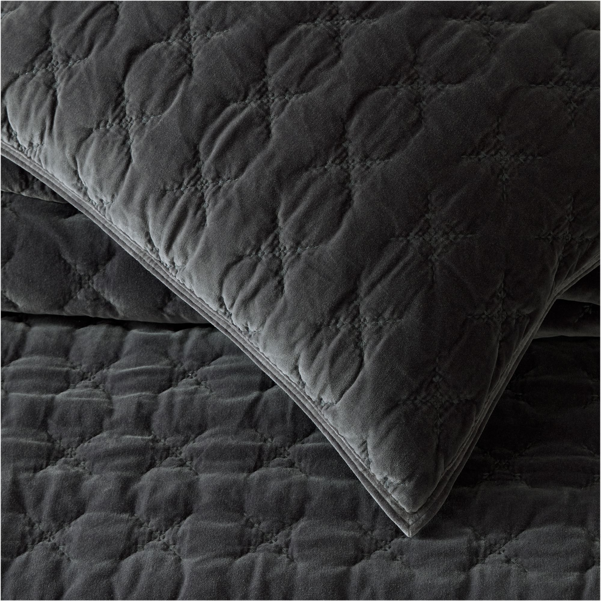 Embroidered Washed Velvet Quilt & Shams thumbnail 3