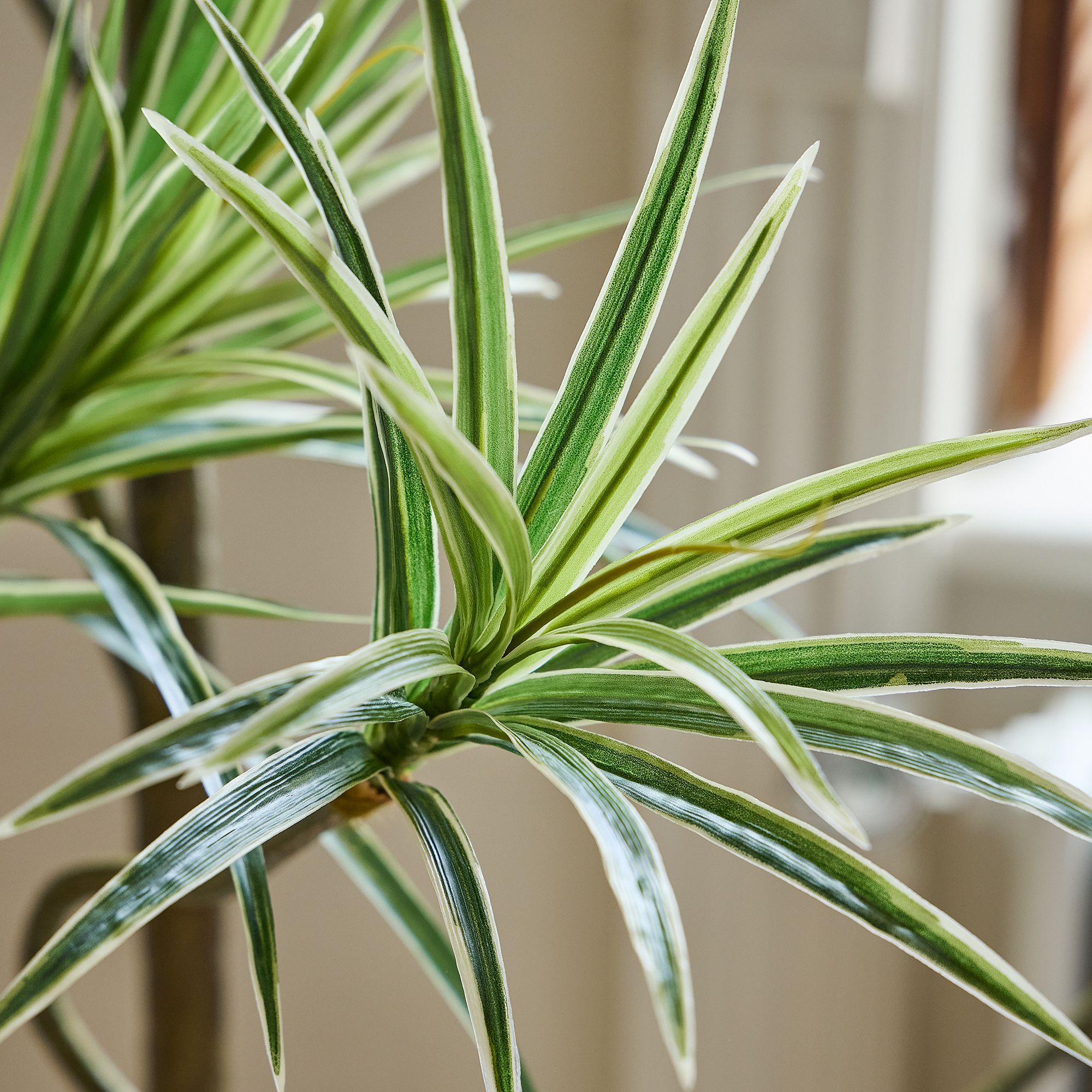 Faux Potted Dracaena thumbnail 2