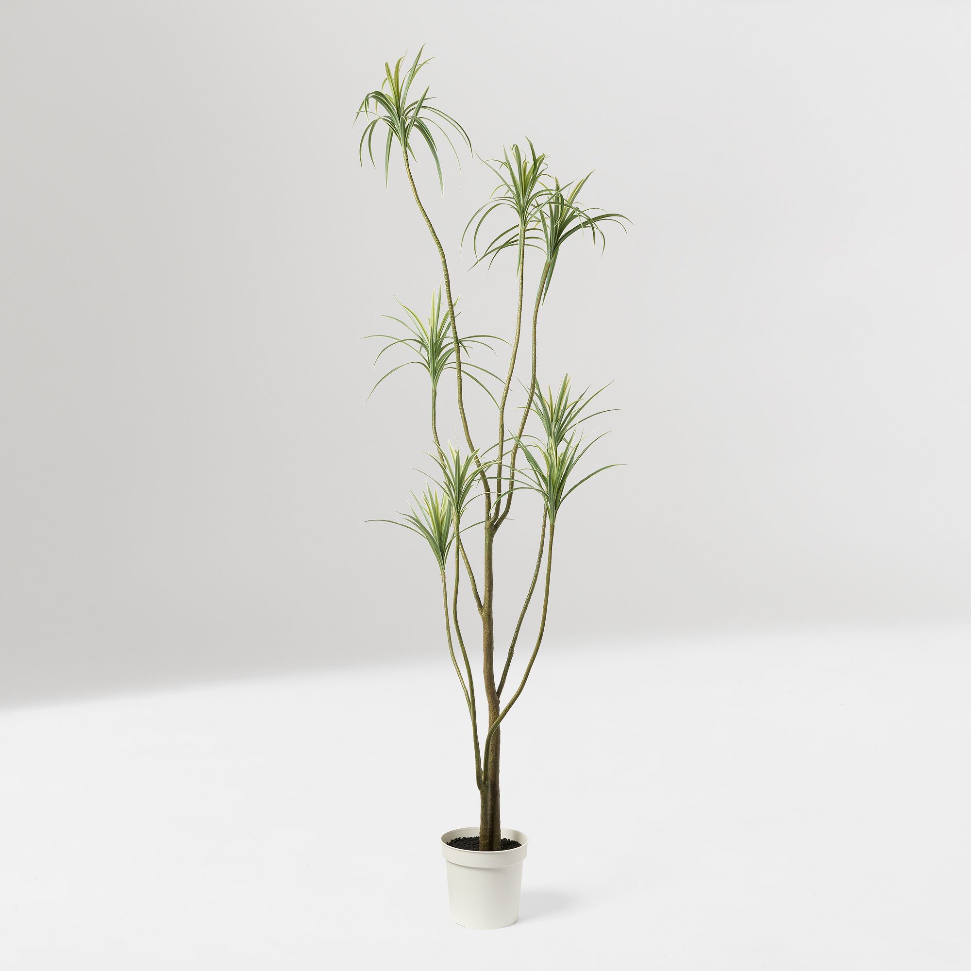 Faux Potted Dracaena thumbnail 3
