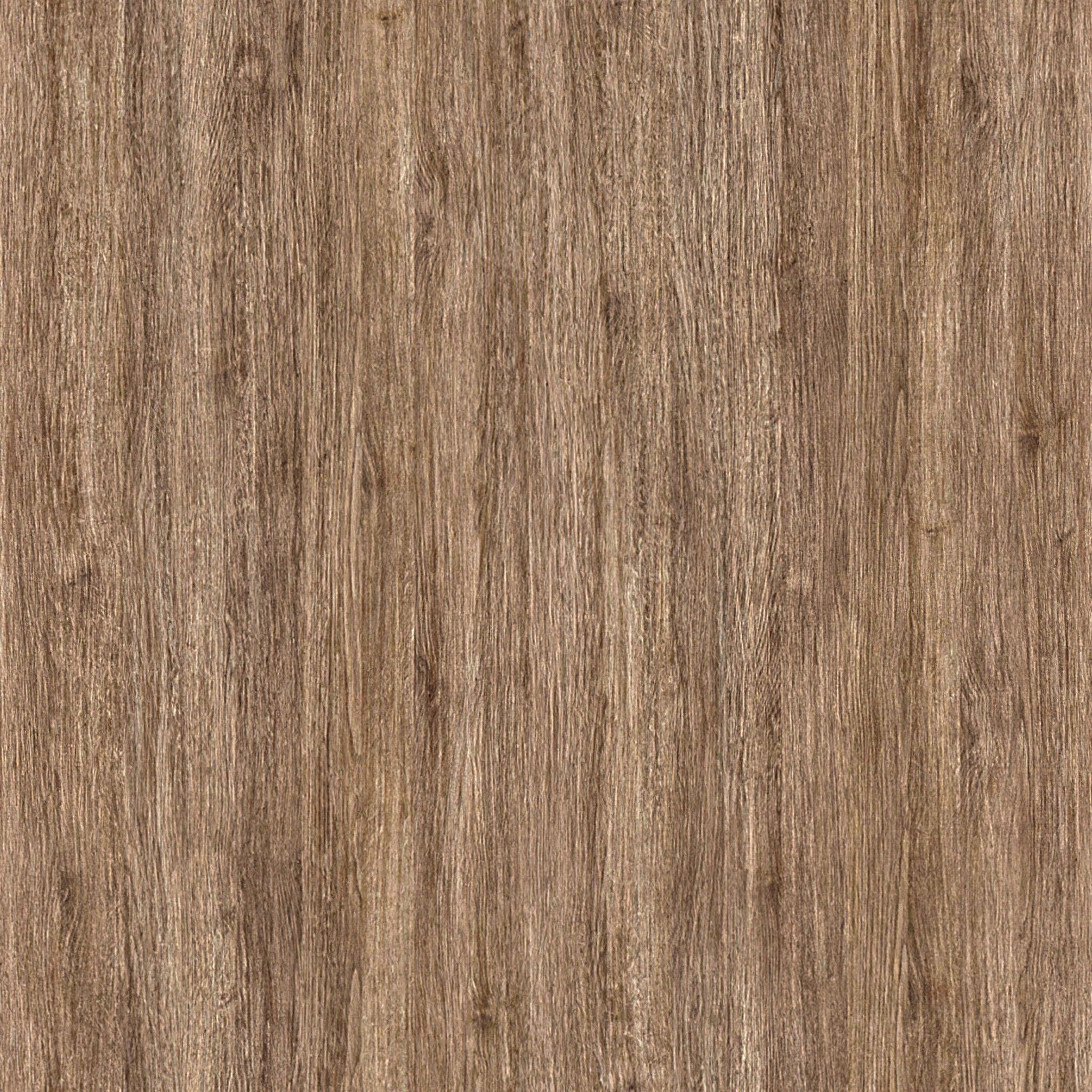 Coloma Round Storage Coffee Table thumbnail 6