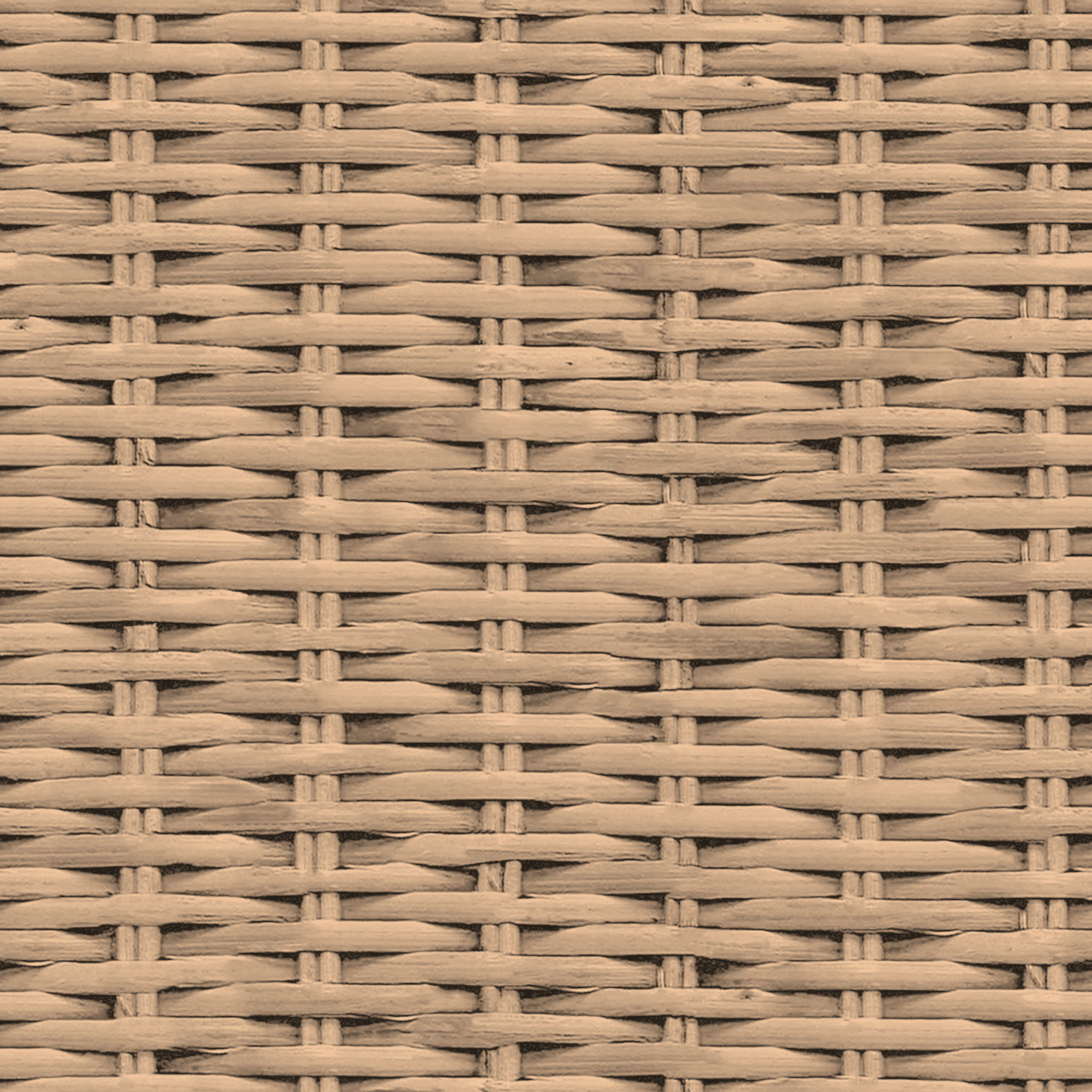 Rattan Storage Chest thumbnail 2