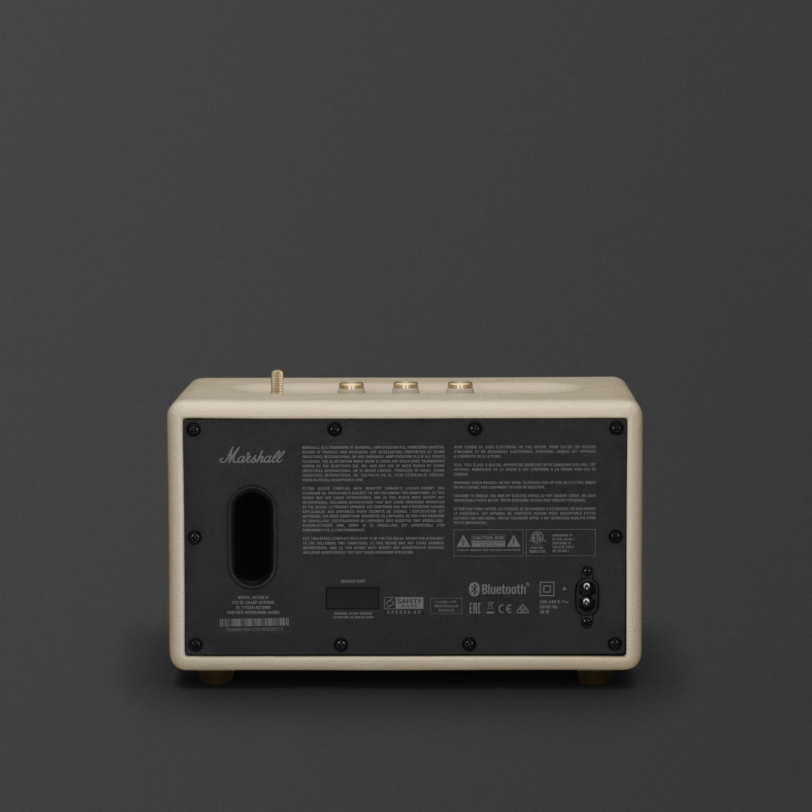 Marshall Speaker_Casey Lim  thumbnail 4