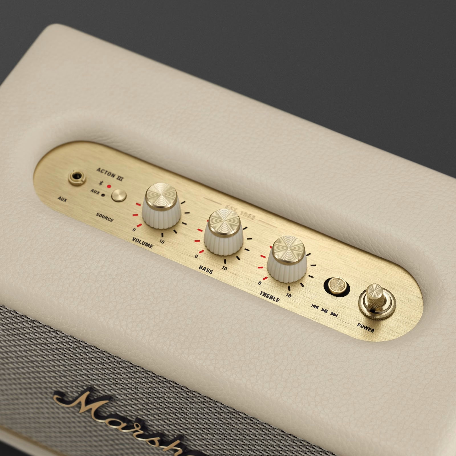 Marshall Speaker_Casey Lim  thumbnail 5