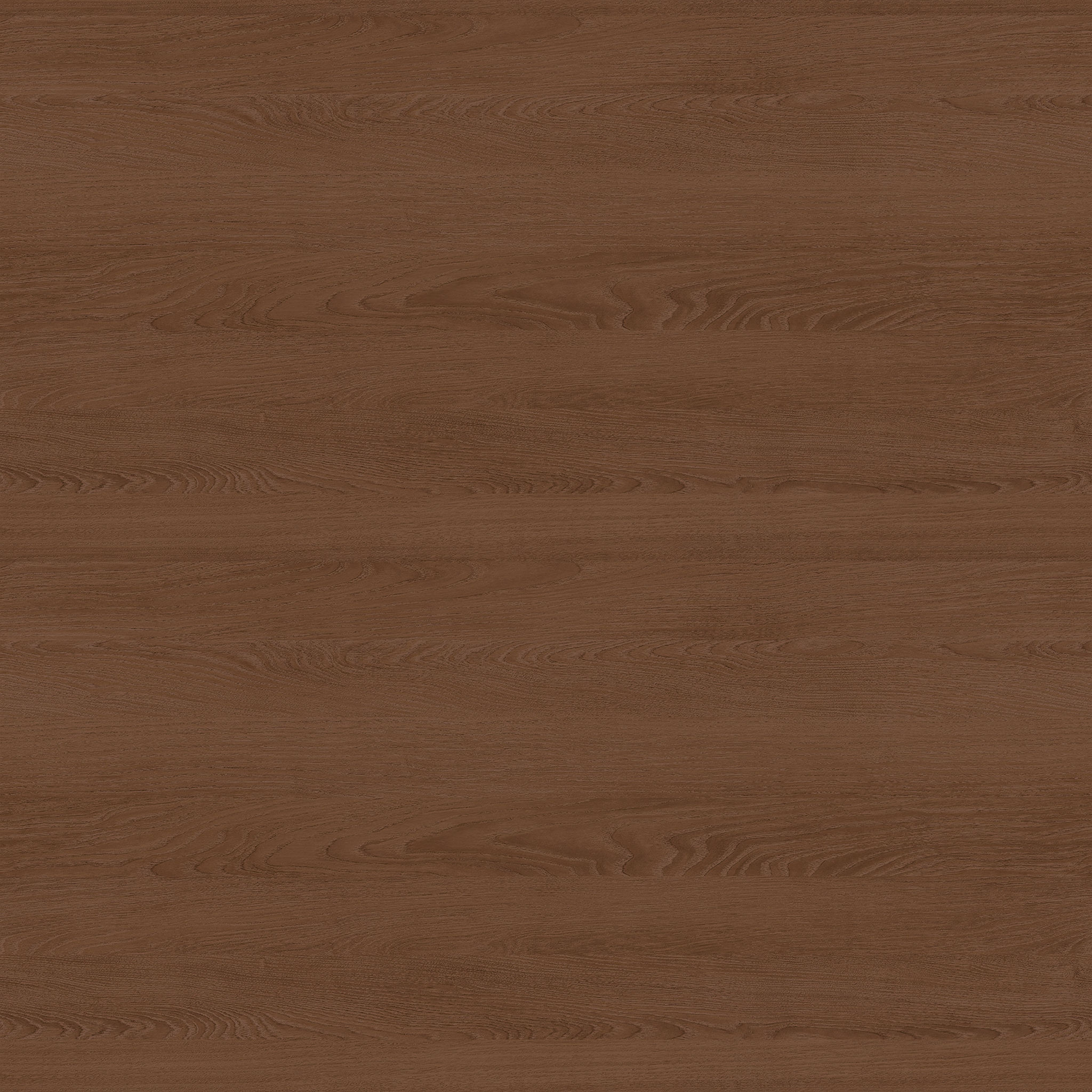 Shelly Shelf and Coat Rack thumbnail 6