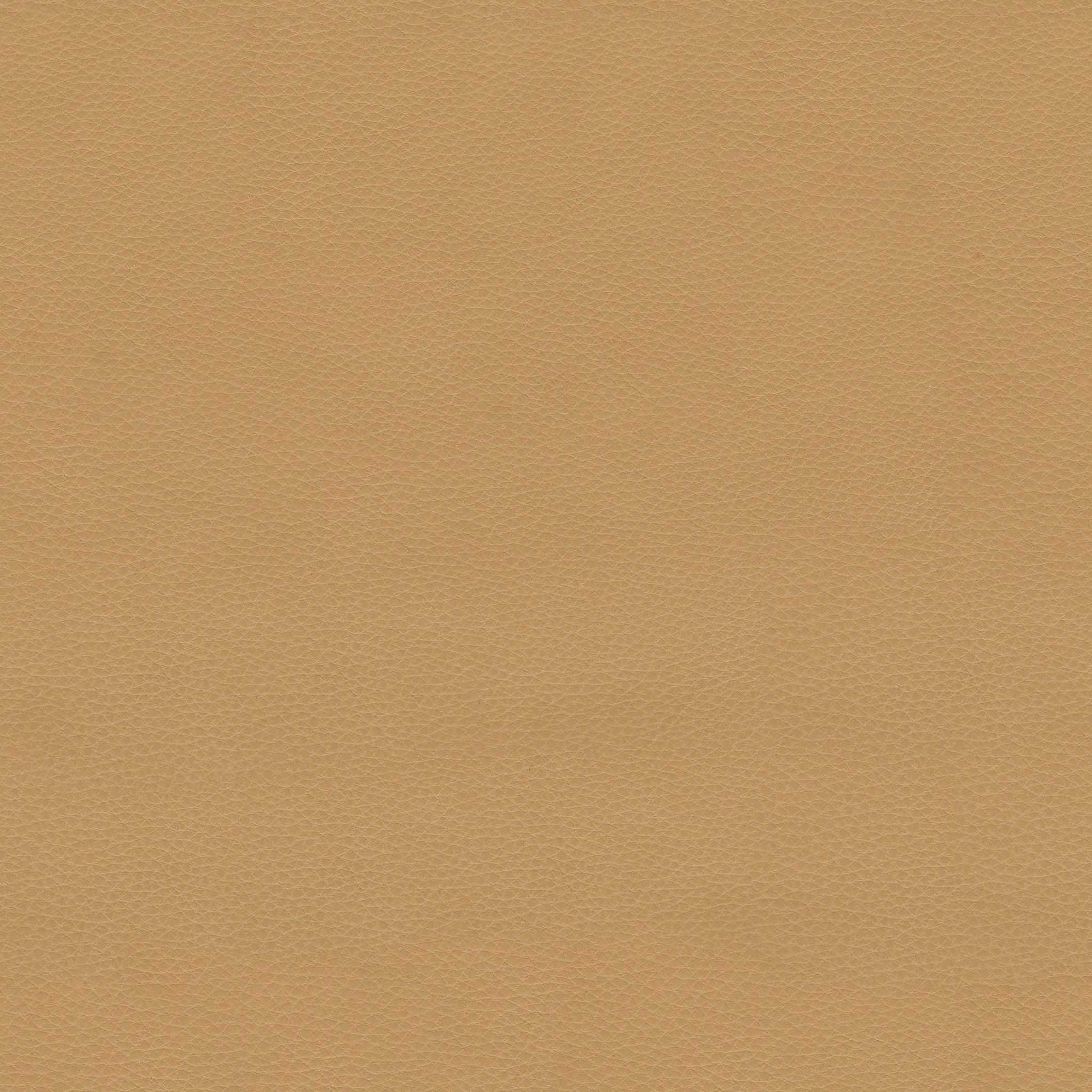 Esse Leather Counter Stool thumbnail 7