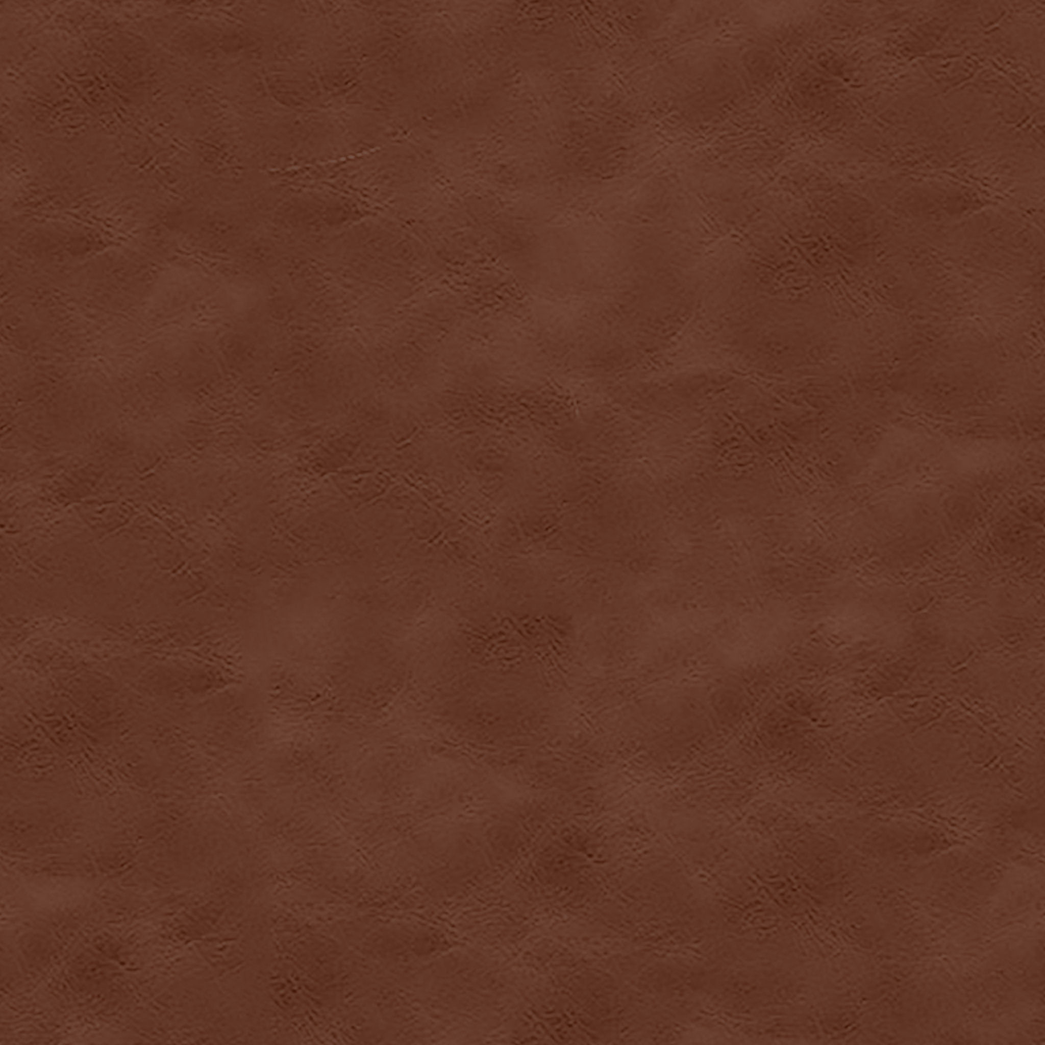 Phoebe Leather Chair Wood Legs thumbnail 2