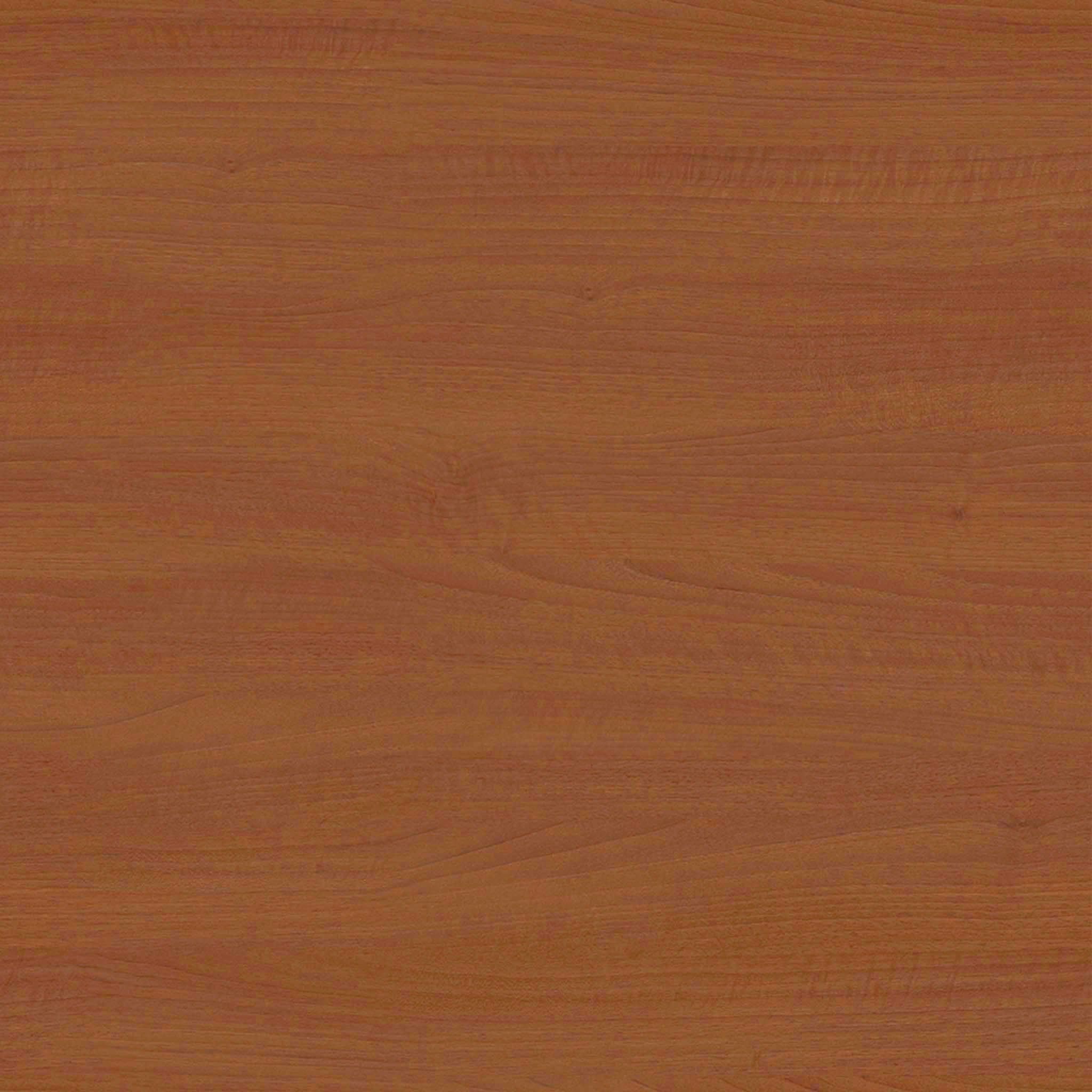 Phoebe Leather Chair Wood Legs thumbnail 3