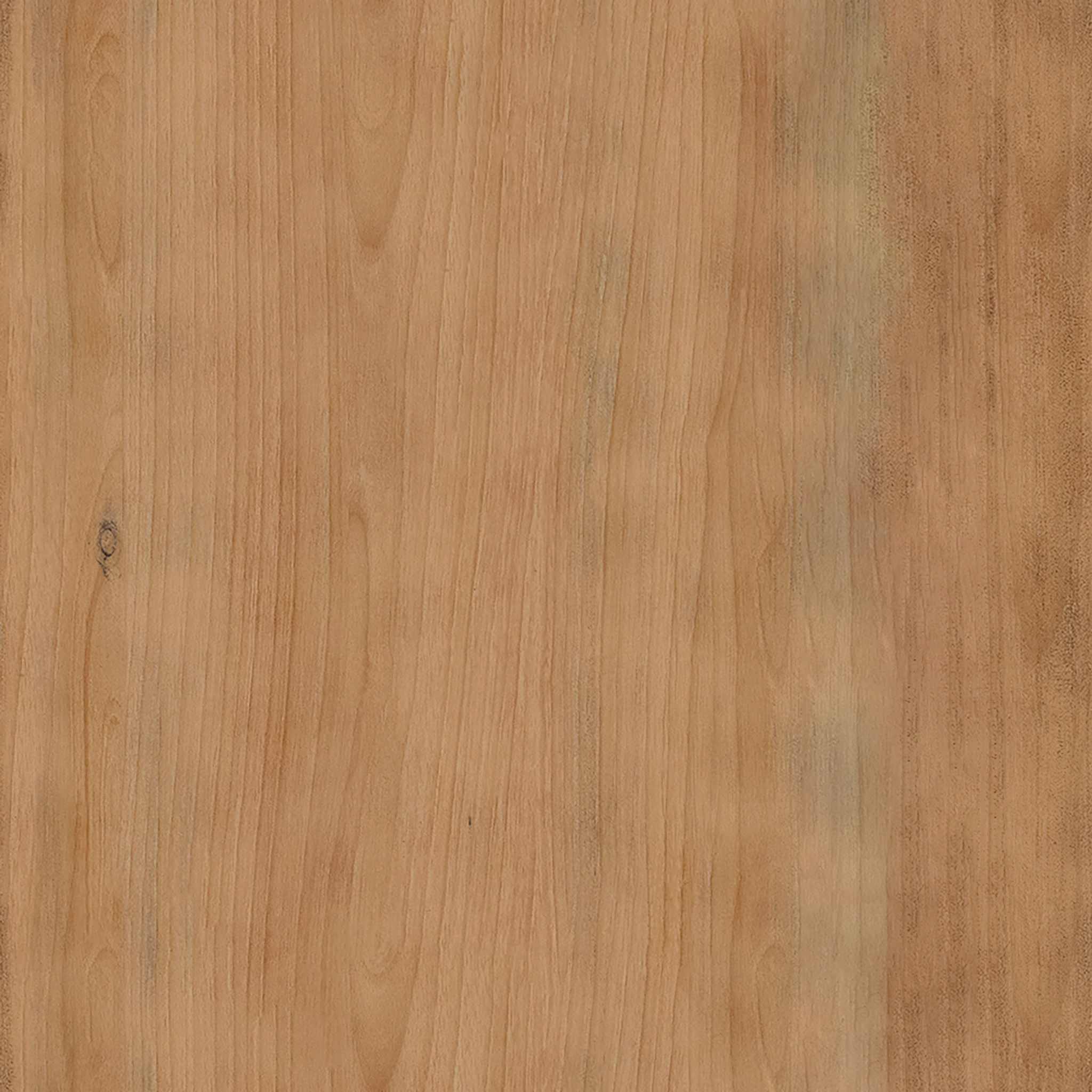 Nordic Teak Rapaport Natural C Shaped Side Table thumbnail 7