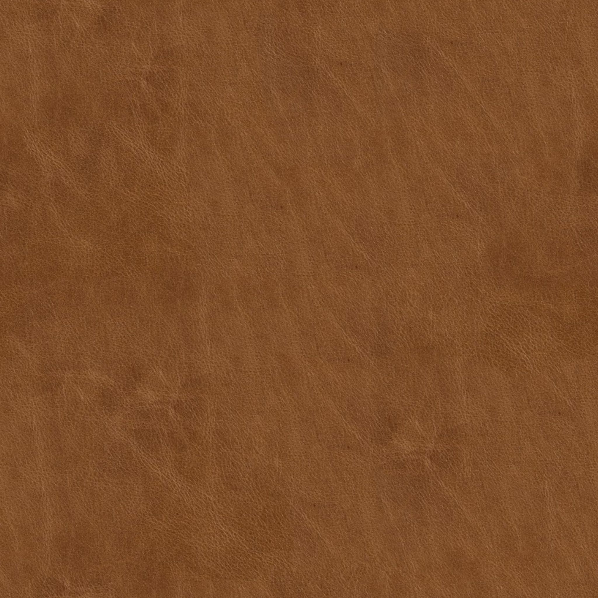 Turner Grande Roll Arm Leather Chair thumbnail 2