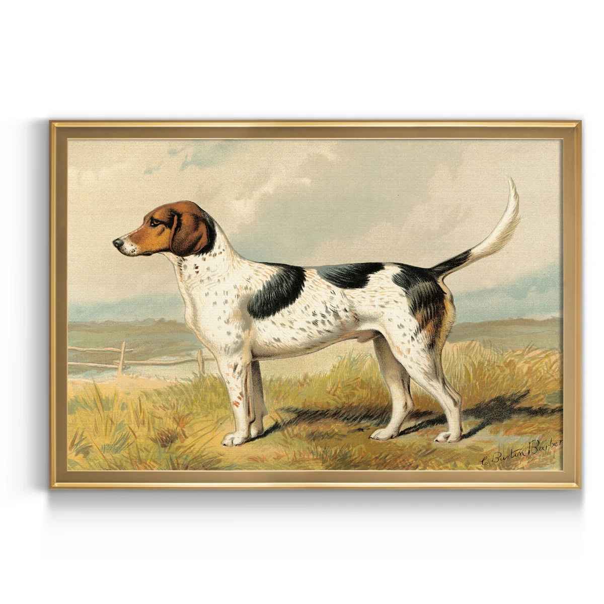  Fox Hound Painting Print 