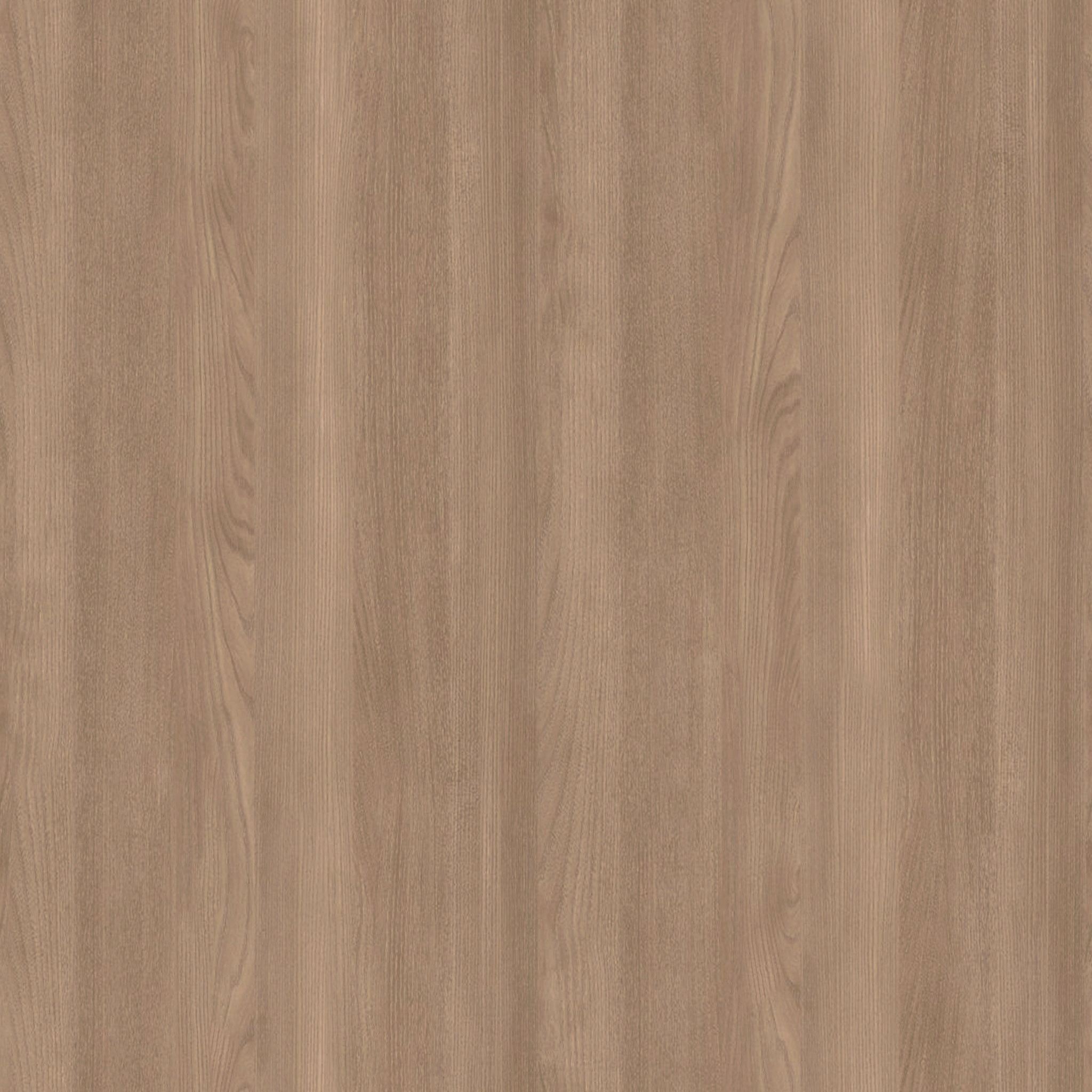 Branch Standing Desk Walnut thumbnail 2