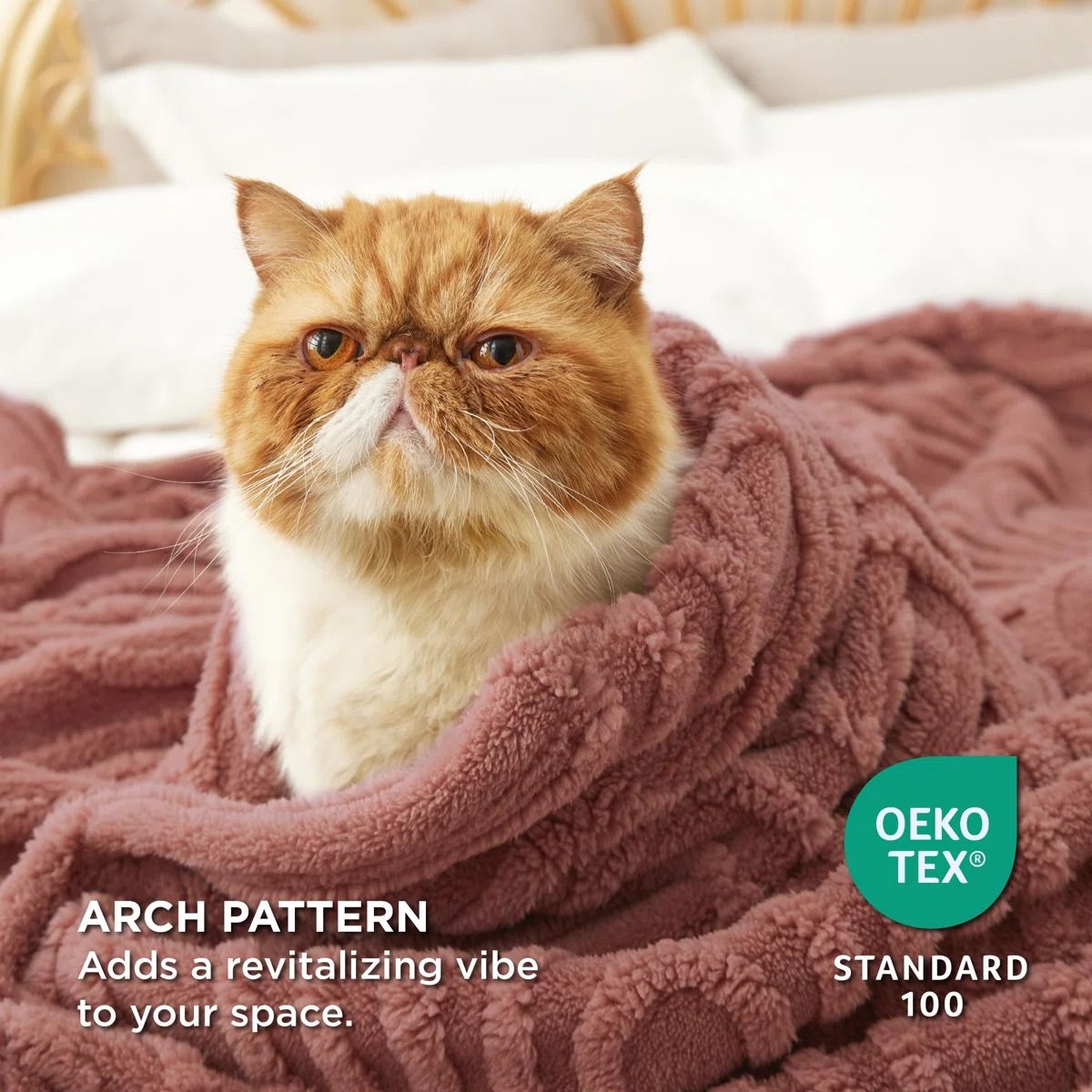Cozy Winter Collection Bedsure Super Soft Cozy Blanket thumbnail 2