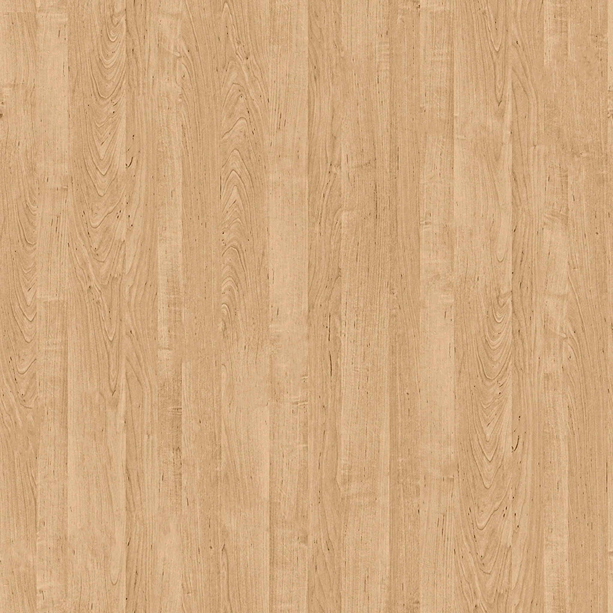 Colton Upholstered Oak Chair - Natural thumbnail 3