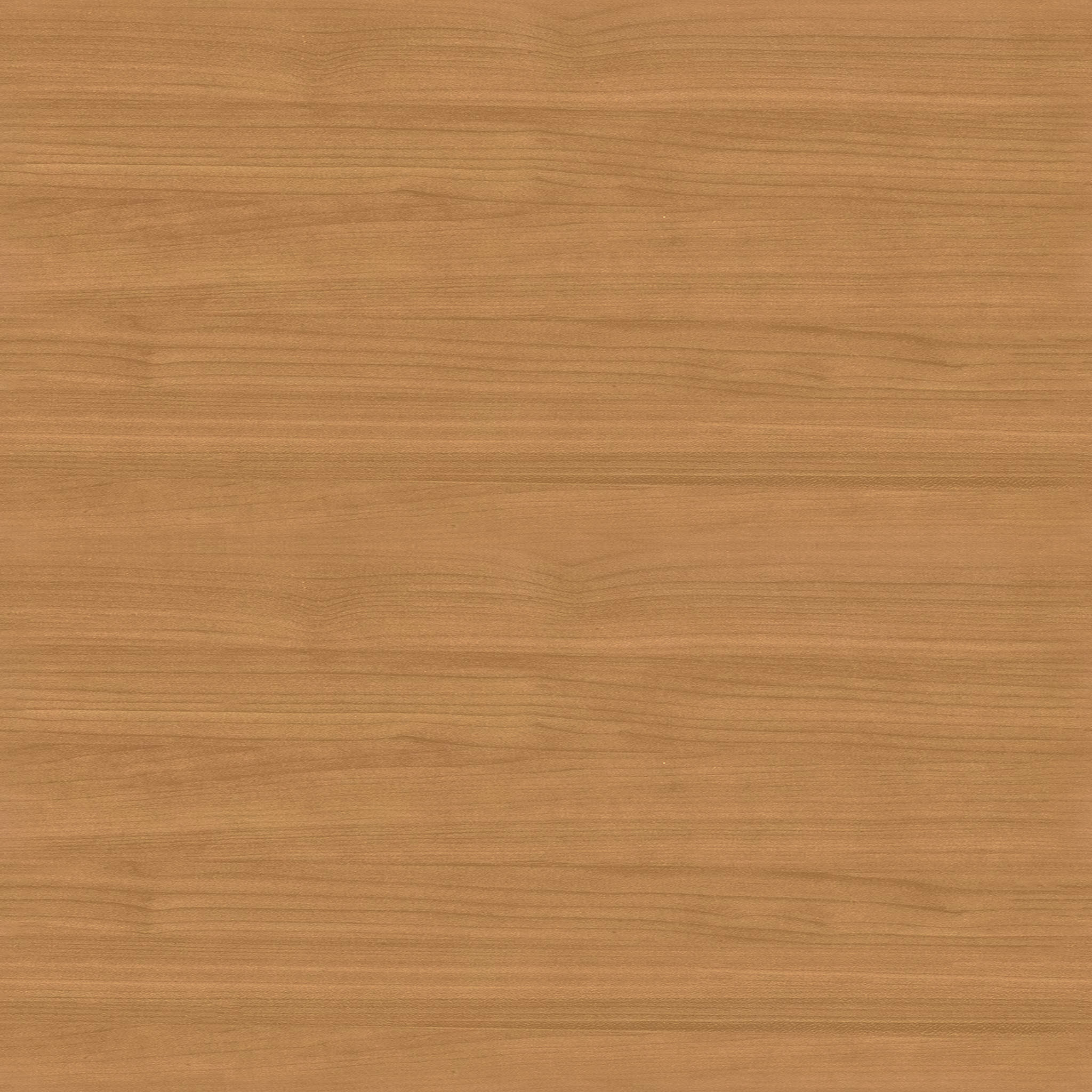 Ecole Dining Chair thumbnail 9