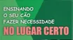Capa do produto order bump
