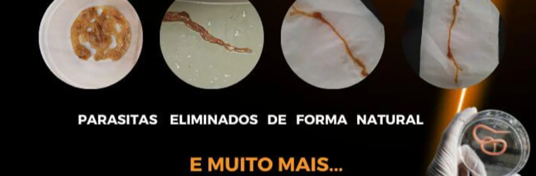 Banner superior
