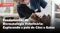 Capa do produto