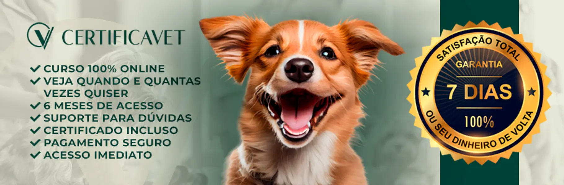 Banner superior