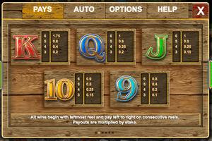 Bonanza Slots Pays