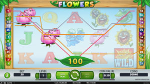 Flowers Slot Win