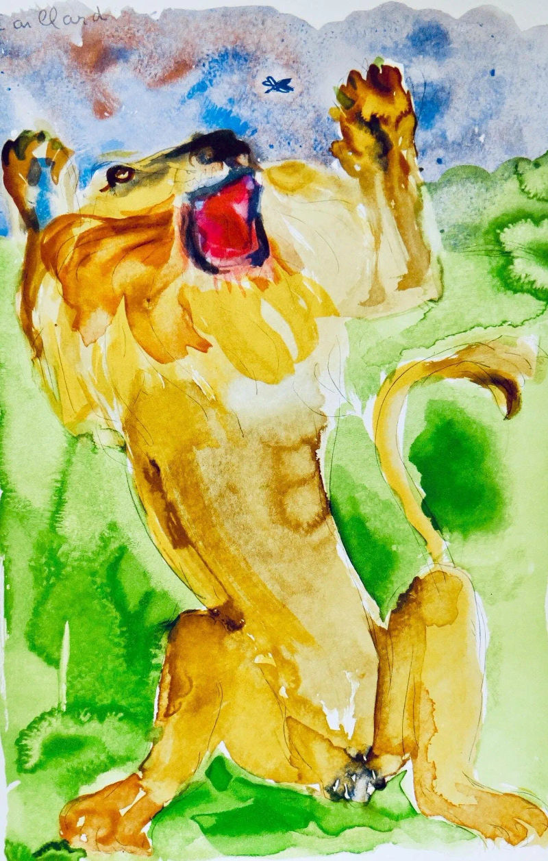 Le Lion et le moucheron, Aquarelle, by Christian Caillard, 1961